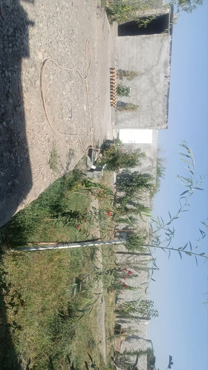 باغ فروشی