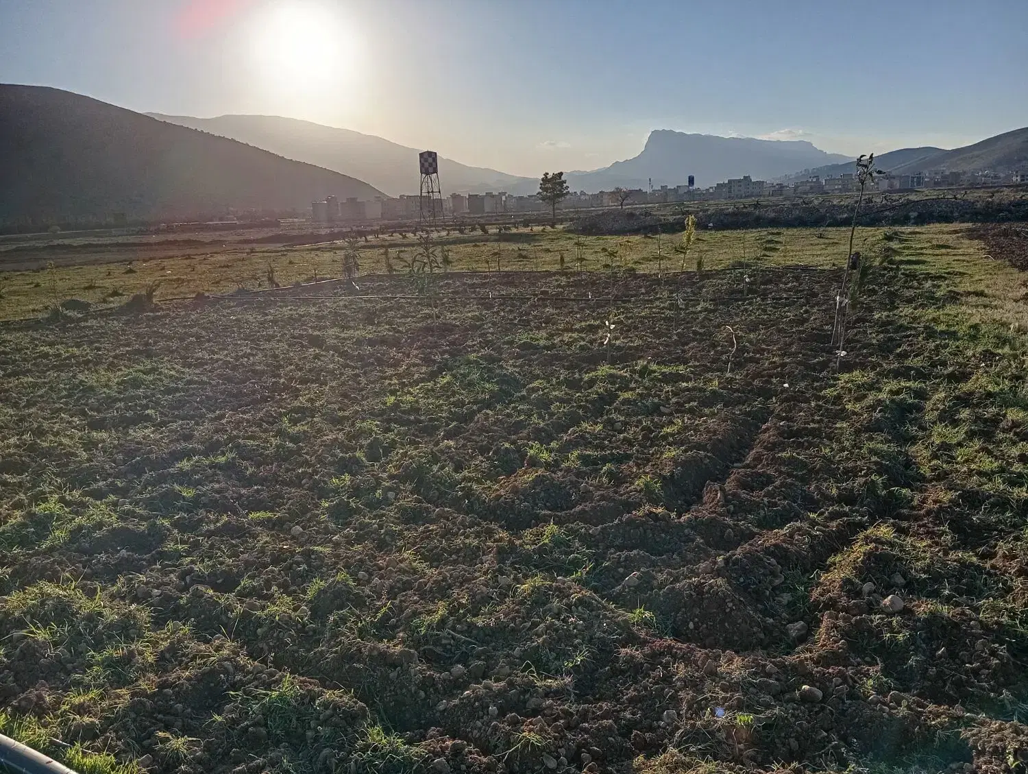 فروش باغ یا کارگاهی