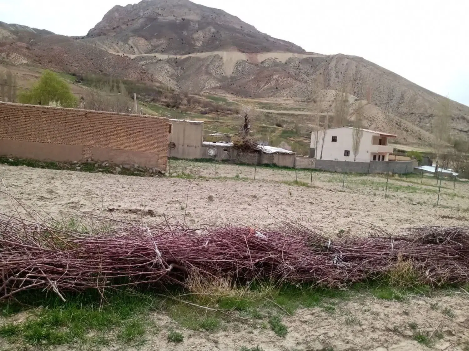 زمین با کاربری مسکونی روستای تاش علیا