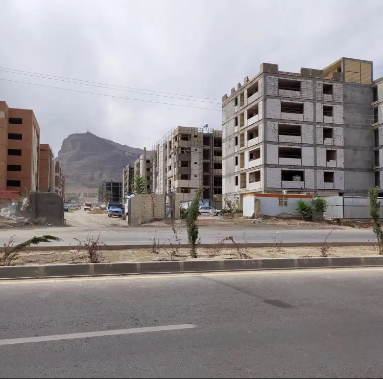 امتیاز گل نرگس