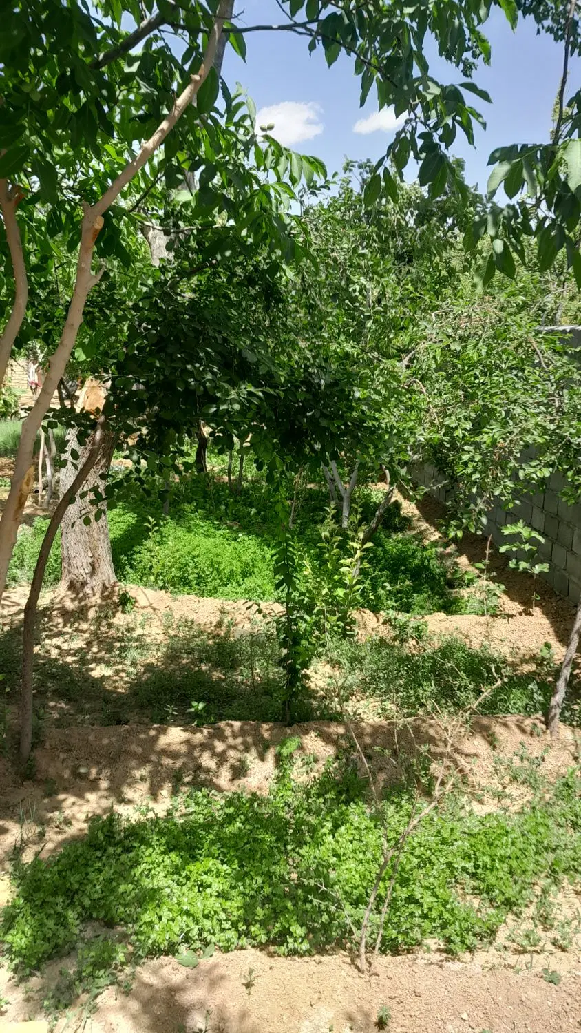 باغ چرمهین