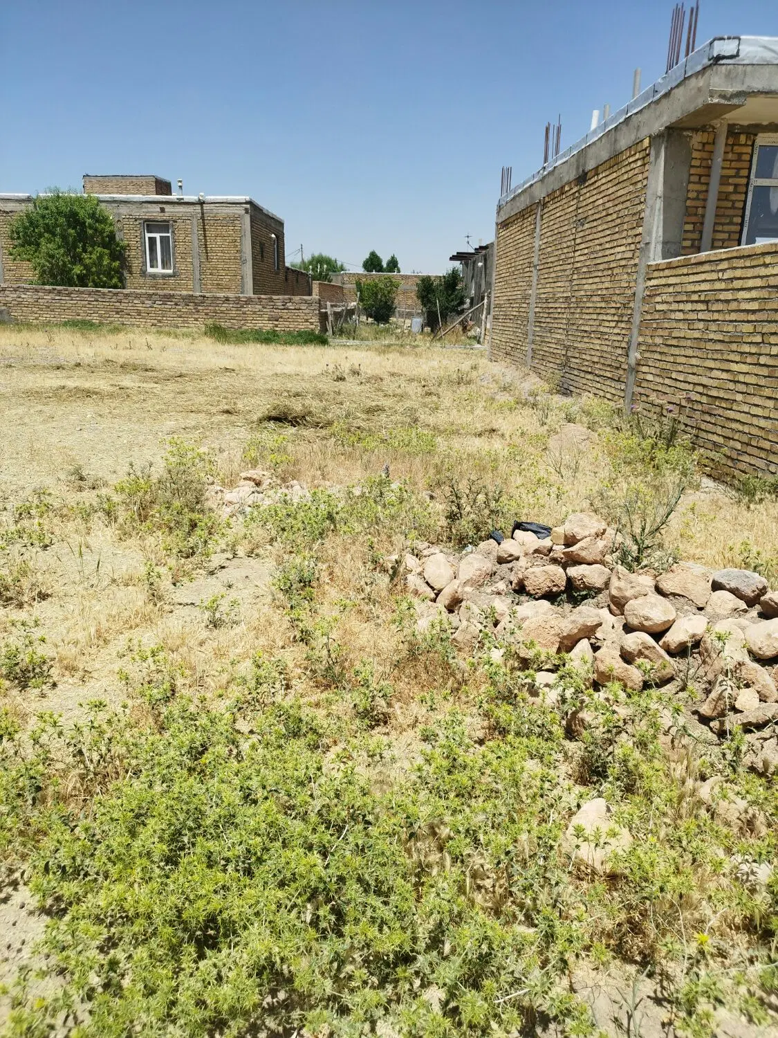 زمین مسکونی