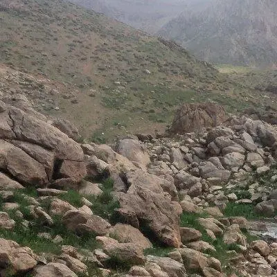 زمین با پروانه ساخت