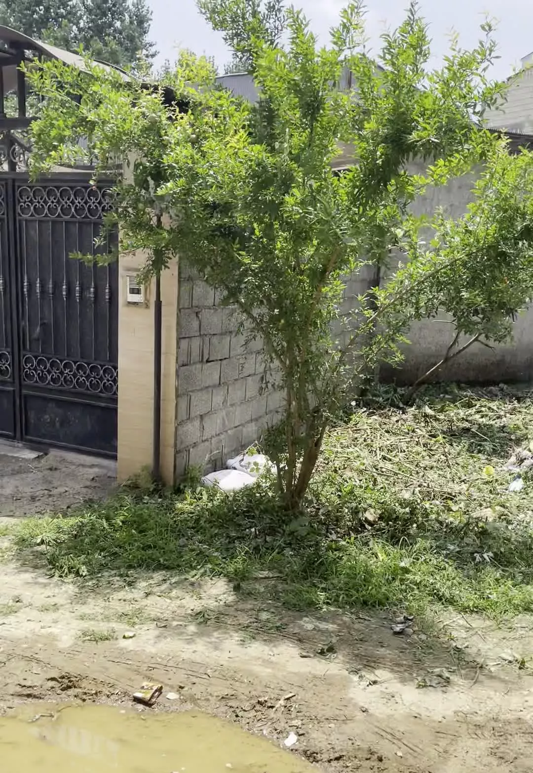 فروش زمین مسکونی در حمیدیان