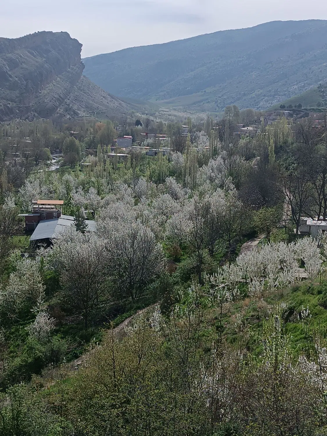 خانه در روستای درکش سرسبز