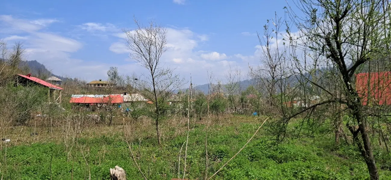۷۰۰متر زمین کاملا مسکونی گیلان