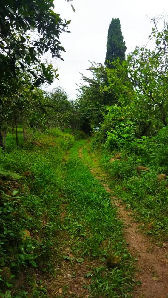 فروش زمین