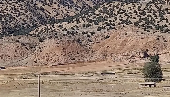 روستای چهارباغ فروش‌ زمین باغی وکشاورزی