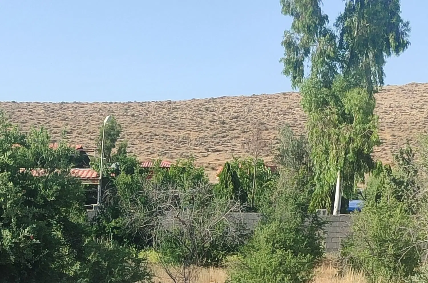 زمین باغشهری ویلا خالداباد