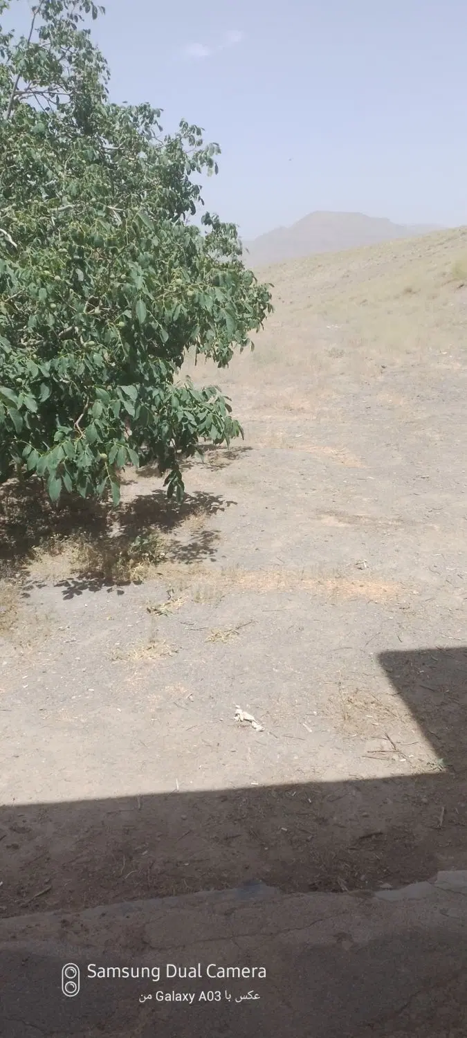 زمین گوار عقیل اباد