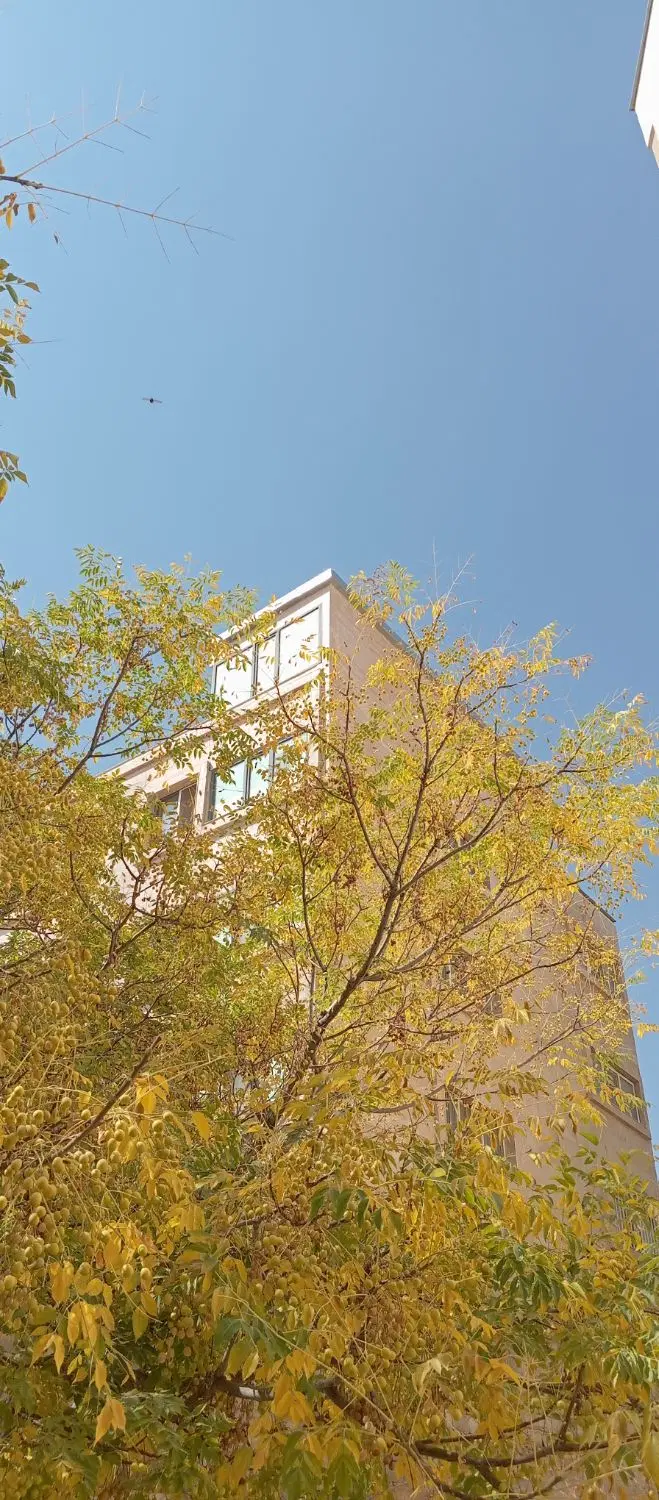 زمین ۶۰۰متر نمره یک