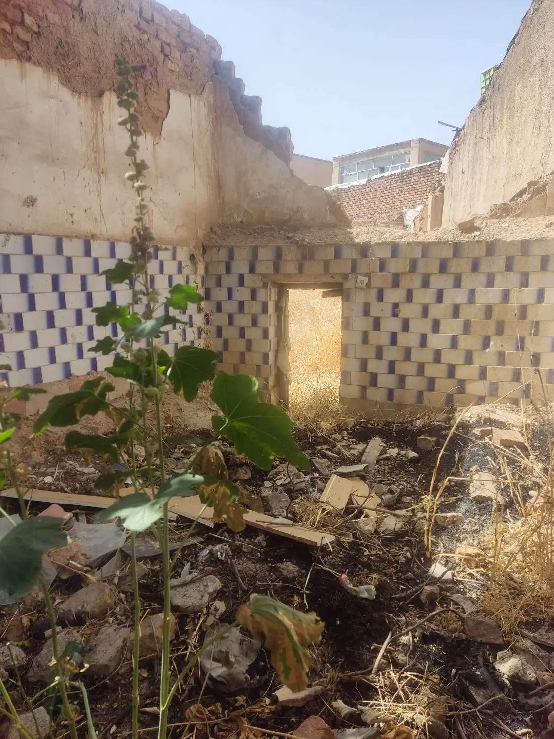 زمین تجاری مسکونی۱۸۵متری بربلوارمهدیه_املاک پرهام