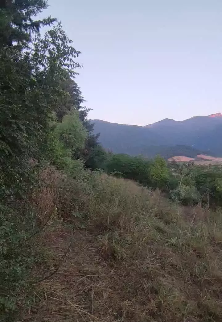 یک قطعه زمین از مجموعه بهشتی