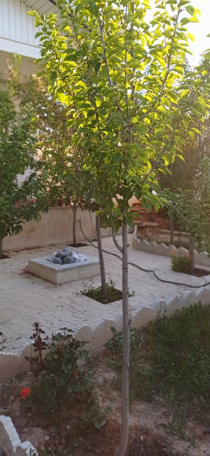 فروش باغ ویلا