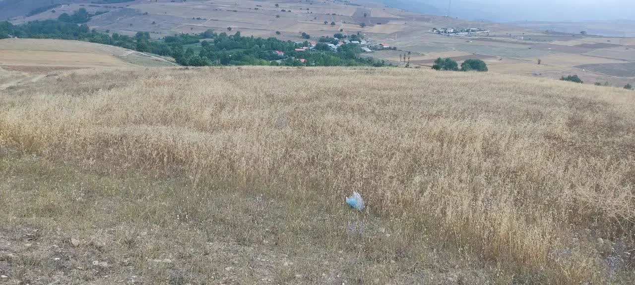 زمین کشاورزی
