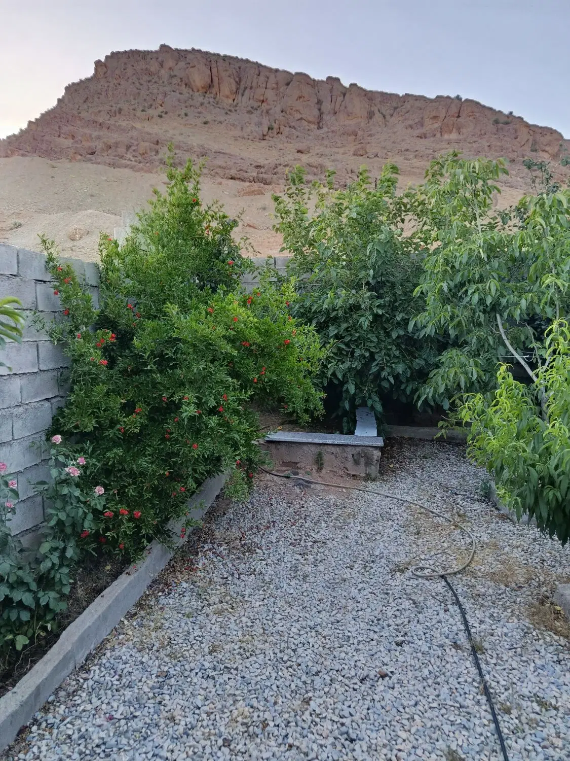 خونه ۳طبقه ویلایی همراه یک باغ میوه