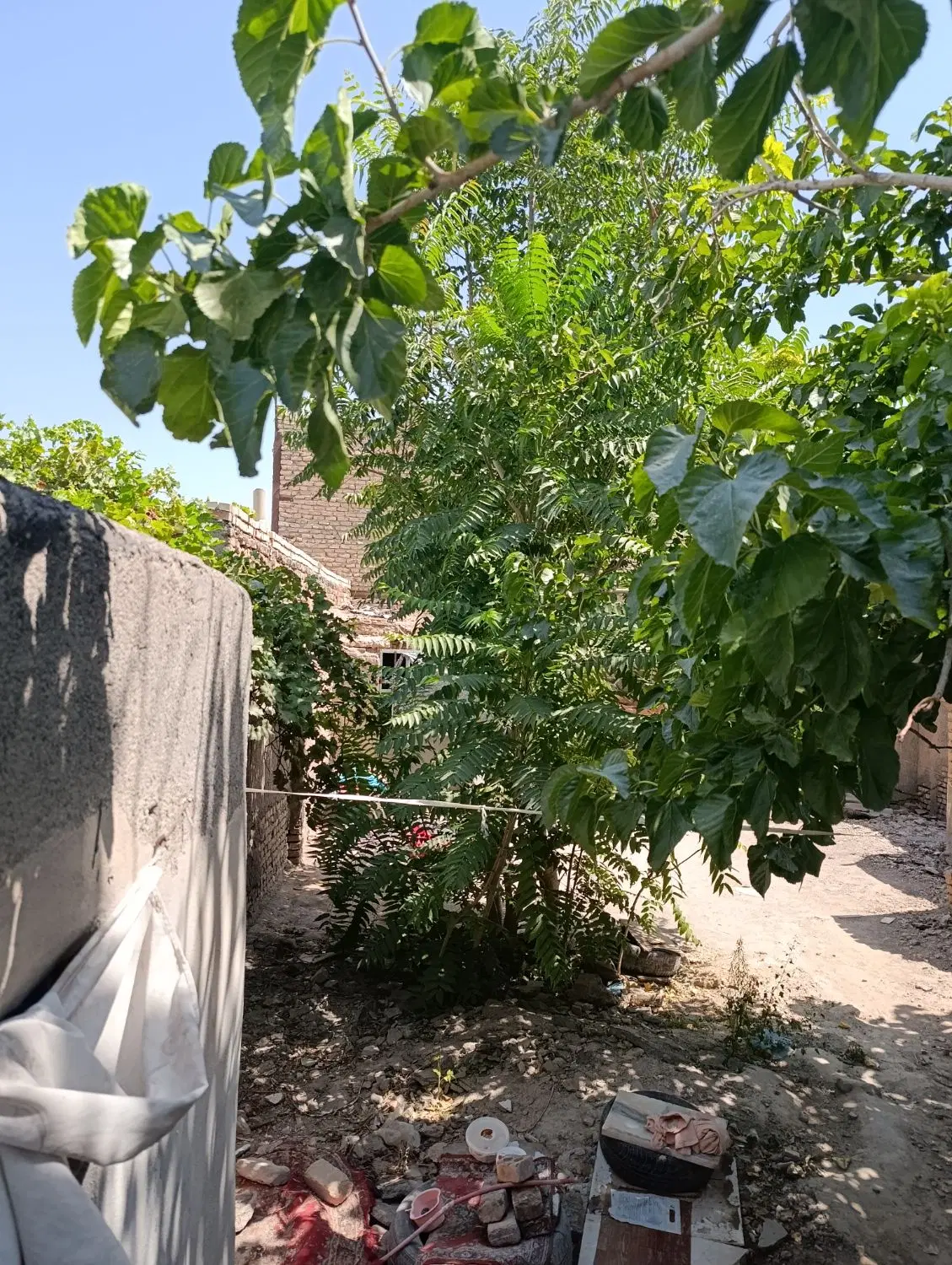 زمین 260متری سند ششدانگ