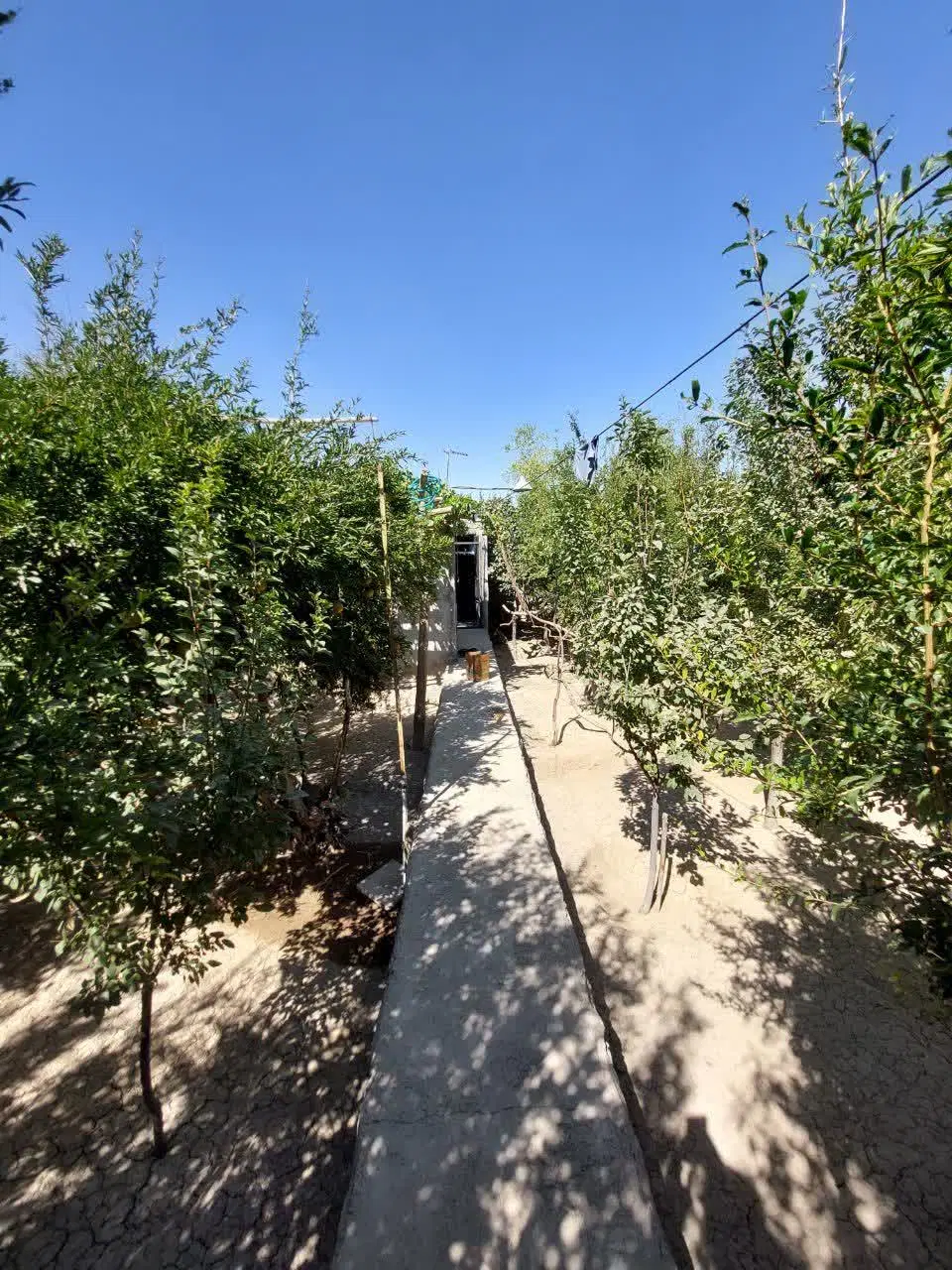 خونه باغ مهریز