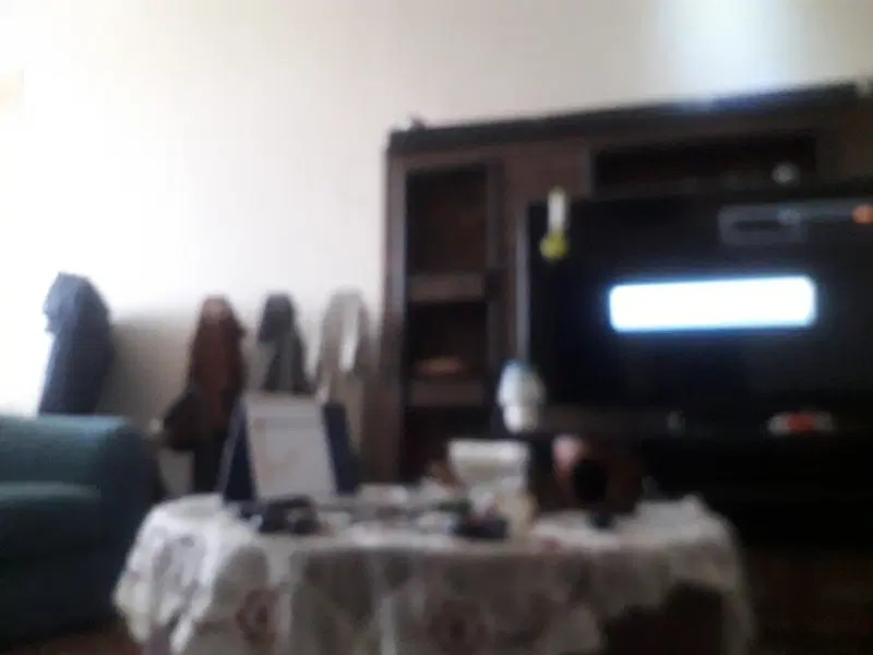 هم خانه