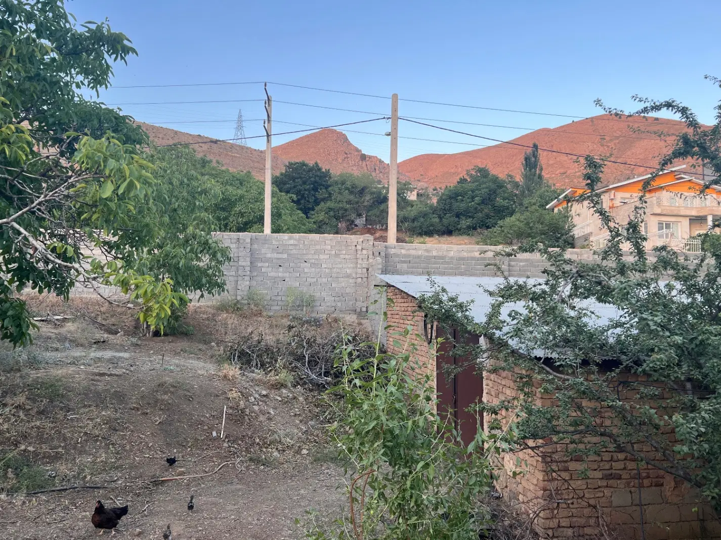 فروش باغ سند دار