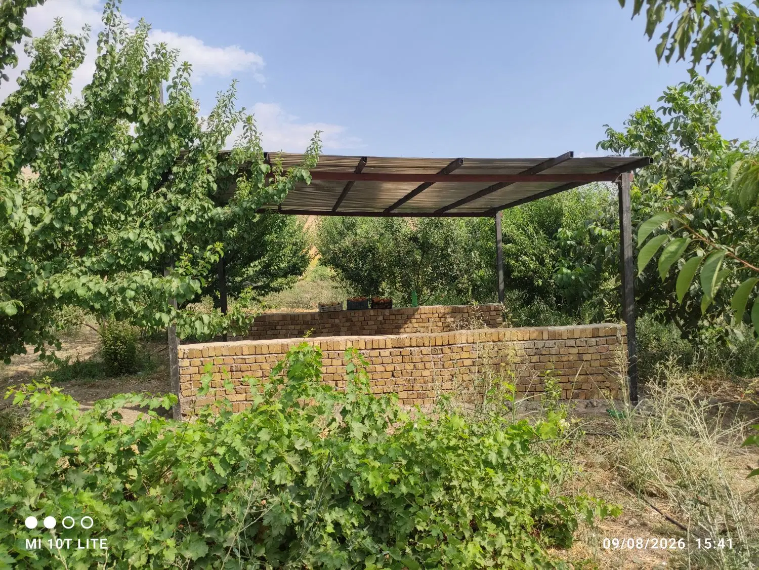 زمین