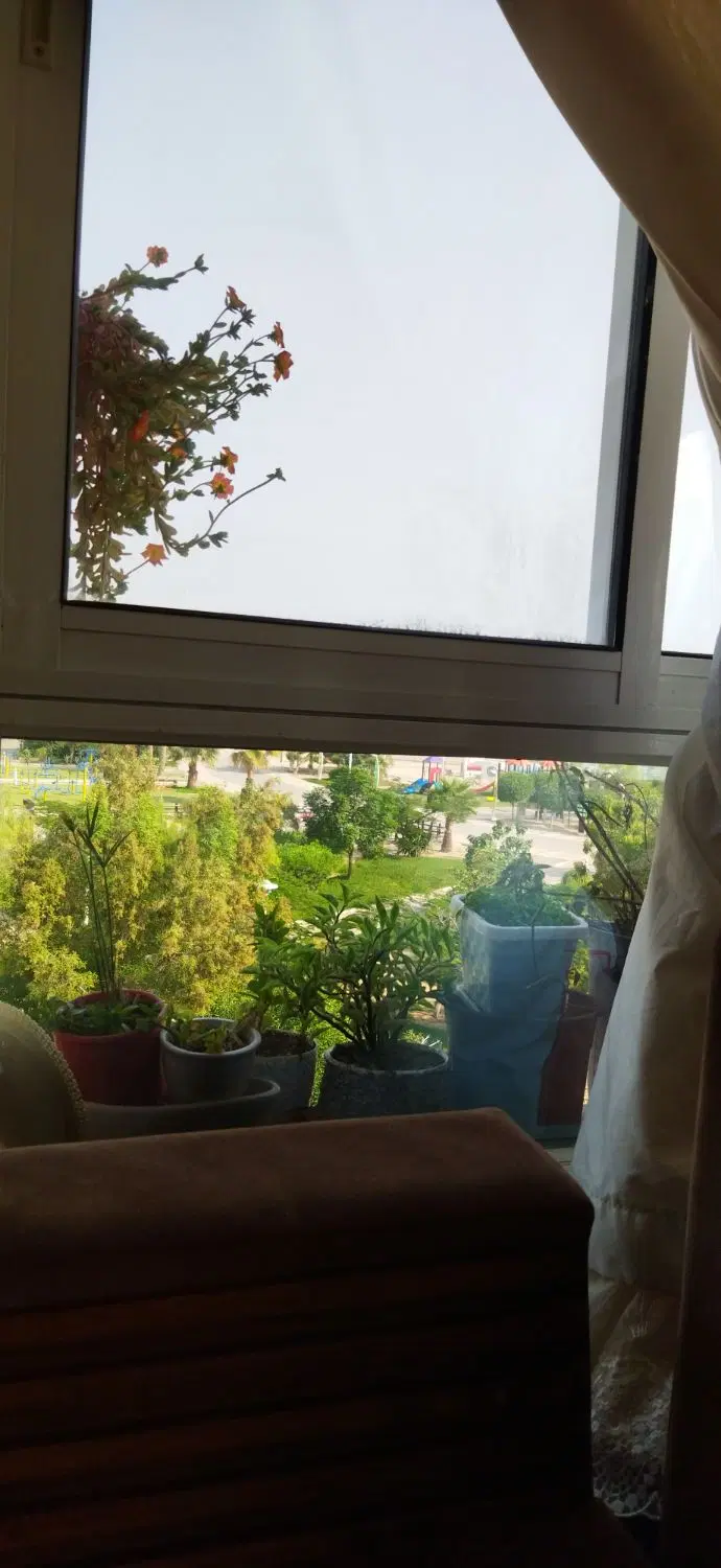 مپسا۳،یک خواب ،بتنی