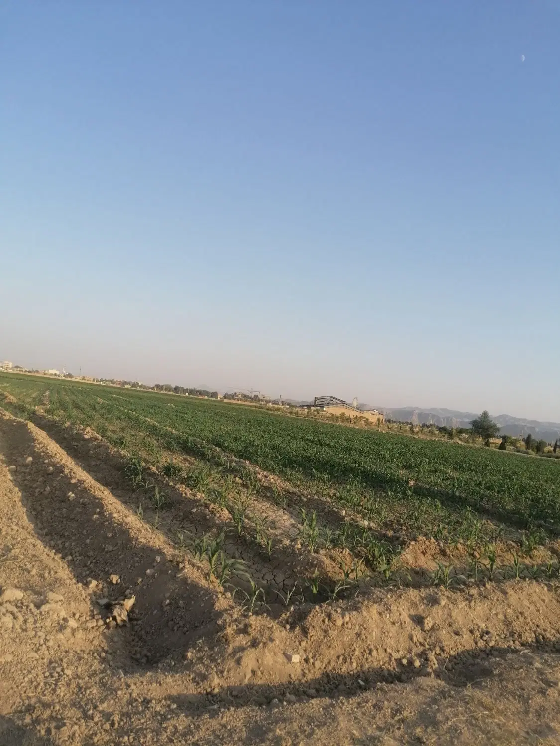 دو قطعه زمین کشاورزی مناسب باغ شهری نزدیک شهر