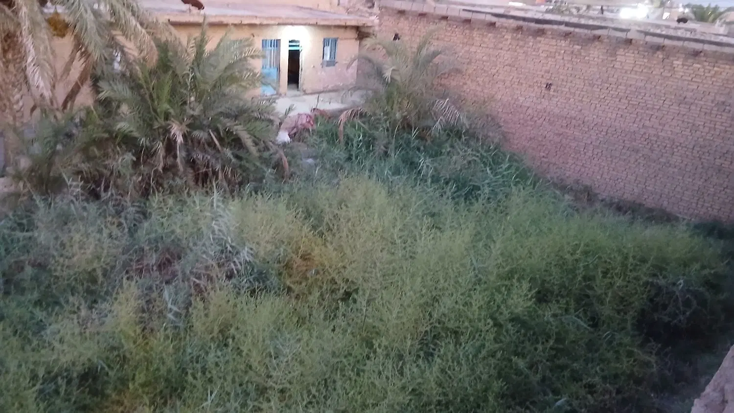 خانه در گامیش اباد