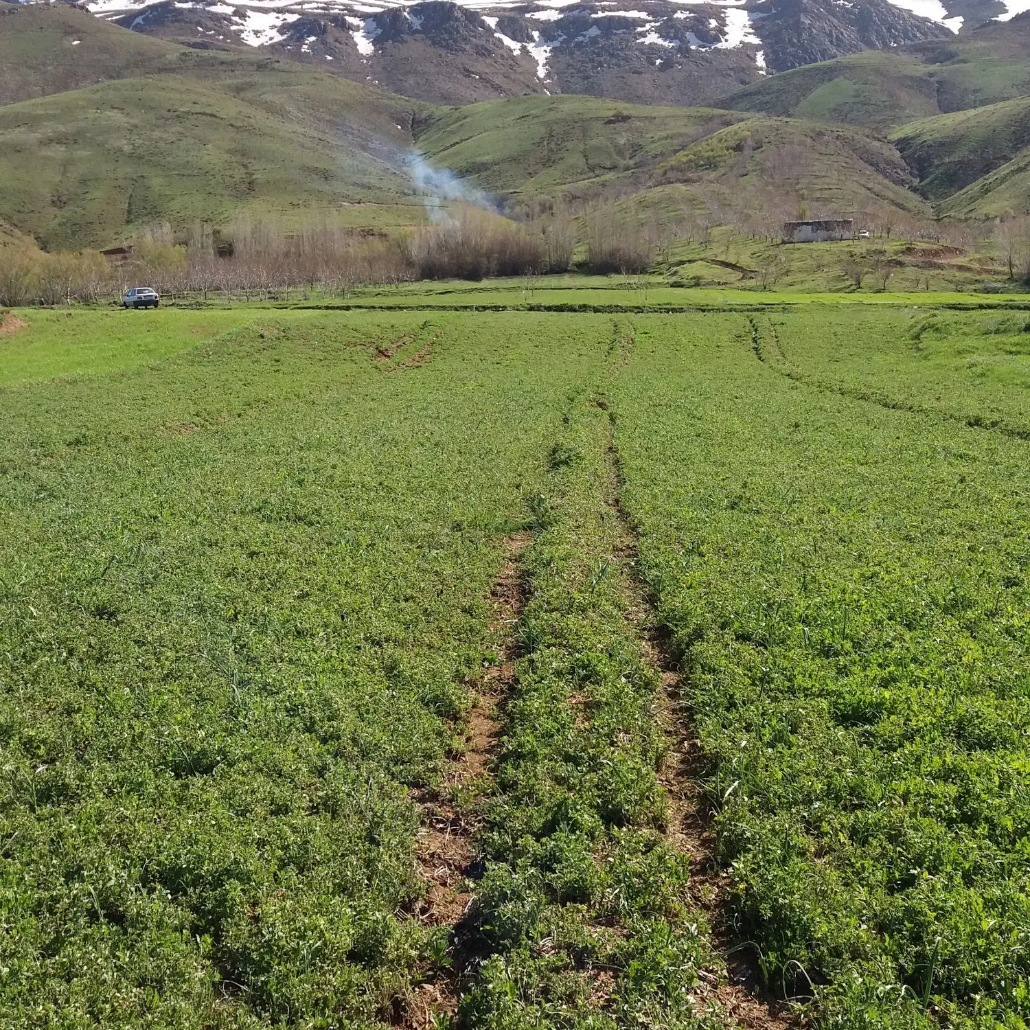 فروش باغ ویلابه متراژ 800متردر روستای سیوله