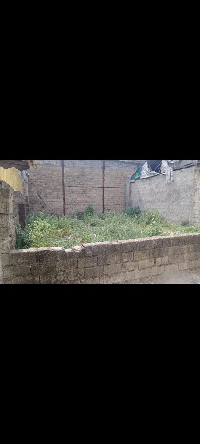 زمین رشت
