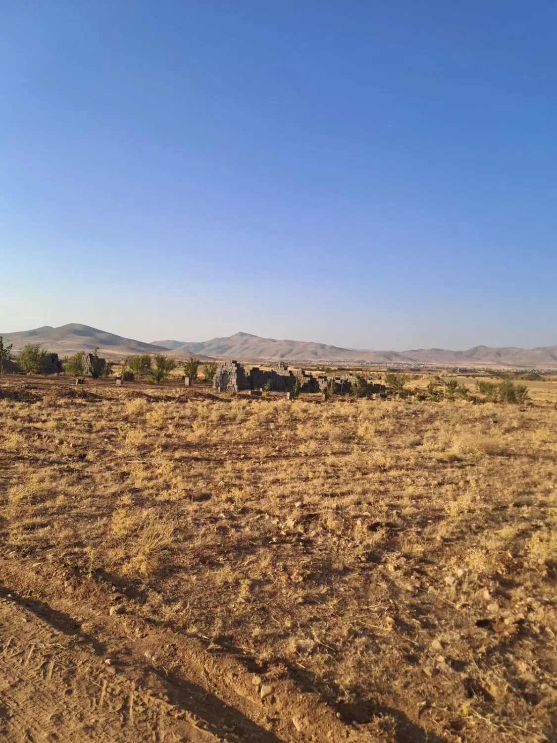 زمین باغ شهری کودیان
