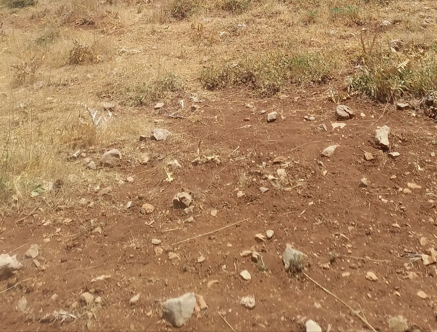 زمین ۲۰۰متری روستای مازه خریده