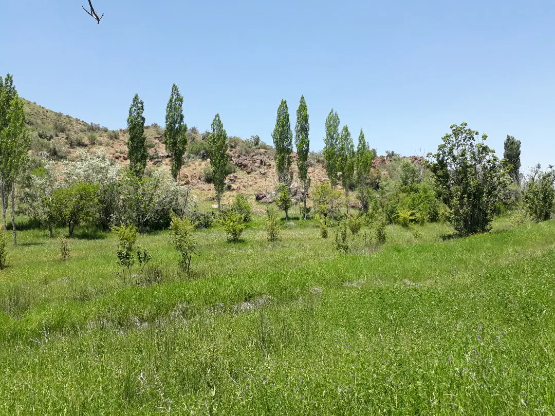 باغ در منطقه کوهستانی