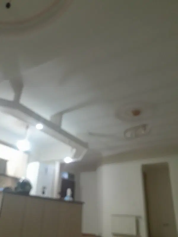 همخونه خانم مجرد