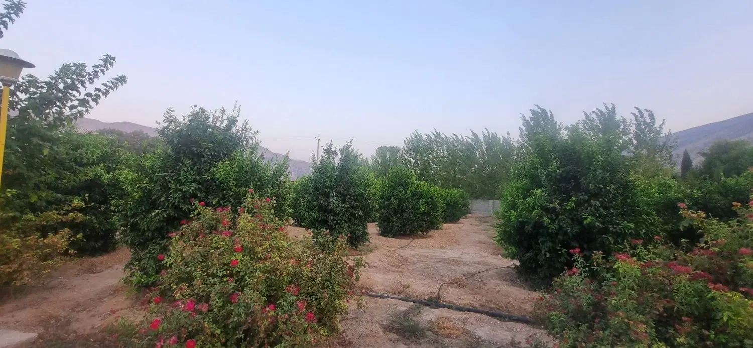 فروش باغ مرکبات 4_5 هکتار