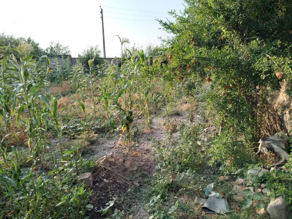 زمین مسکونی روستای چهارده