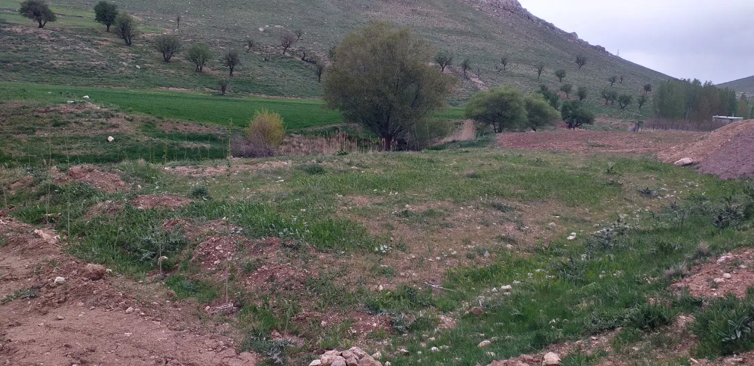 فروش زمین باغی در ایلانی