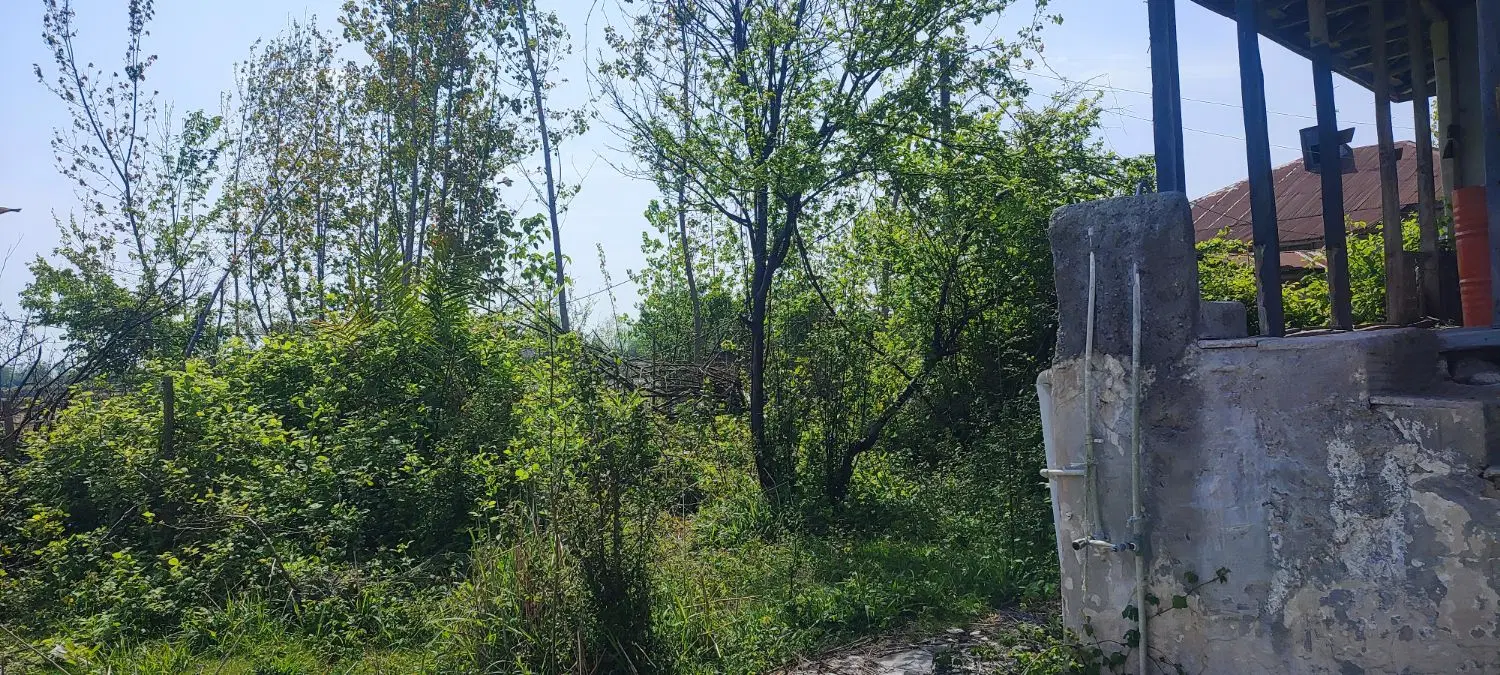 ویلای روستایی