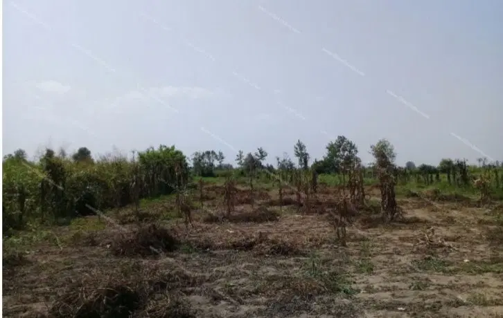 فروش زمین مسکونی