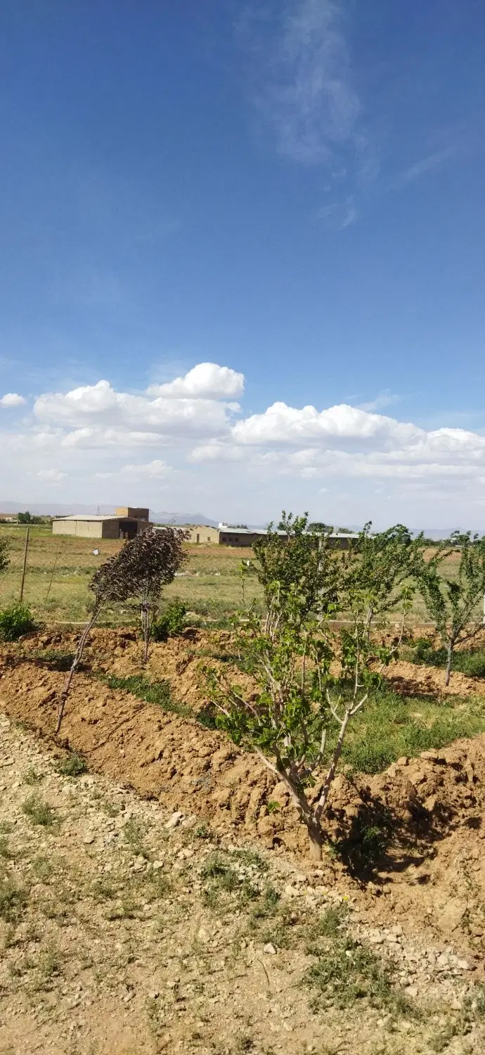 فروش زمین باغی روستای میبران