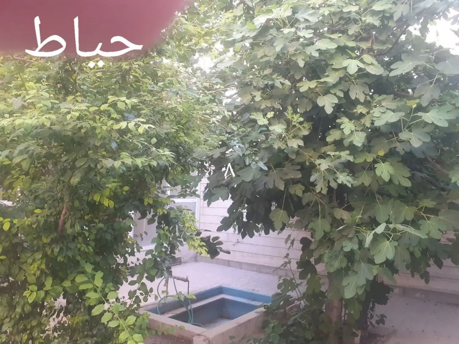اجاره منزل