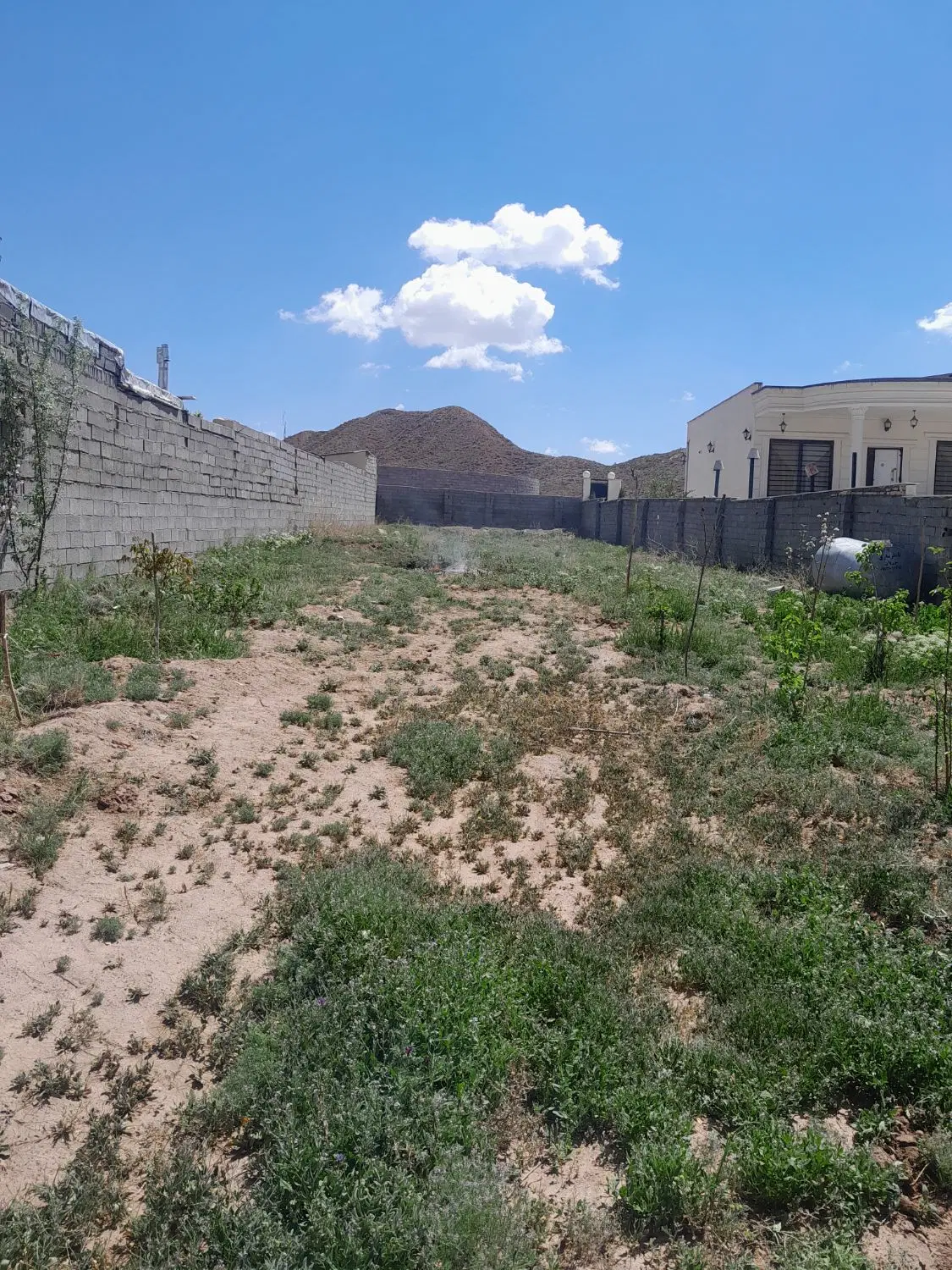 زمین در اطراف روستای سرخده