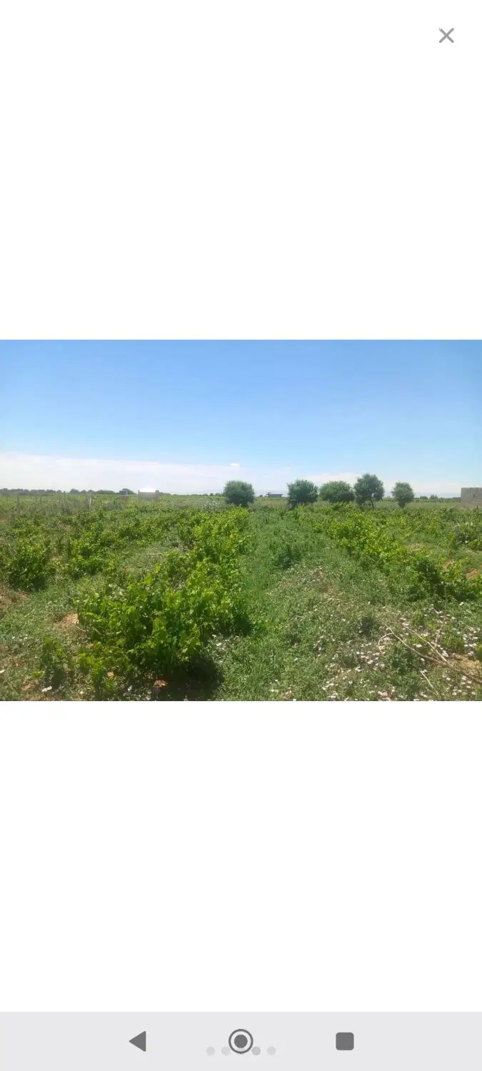زمین_نشوه_متراژ های مختلف_کشاورزی_ویلای باغی