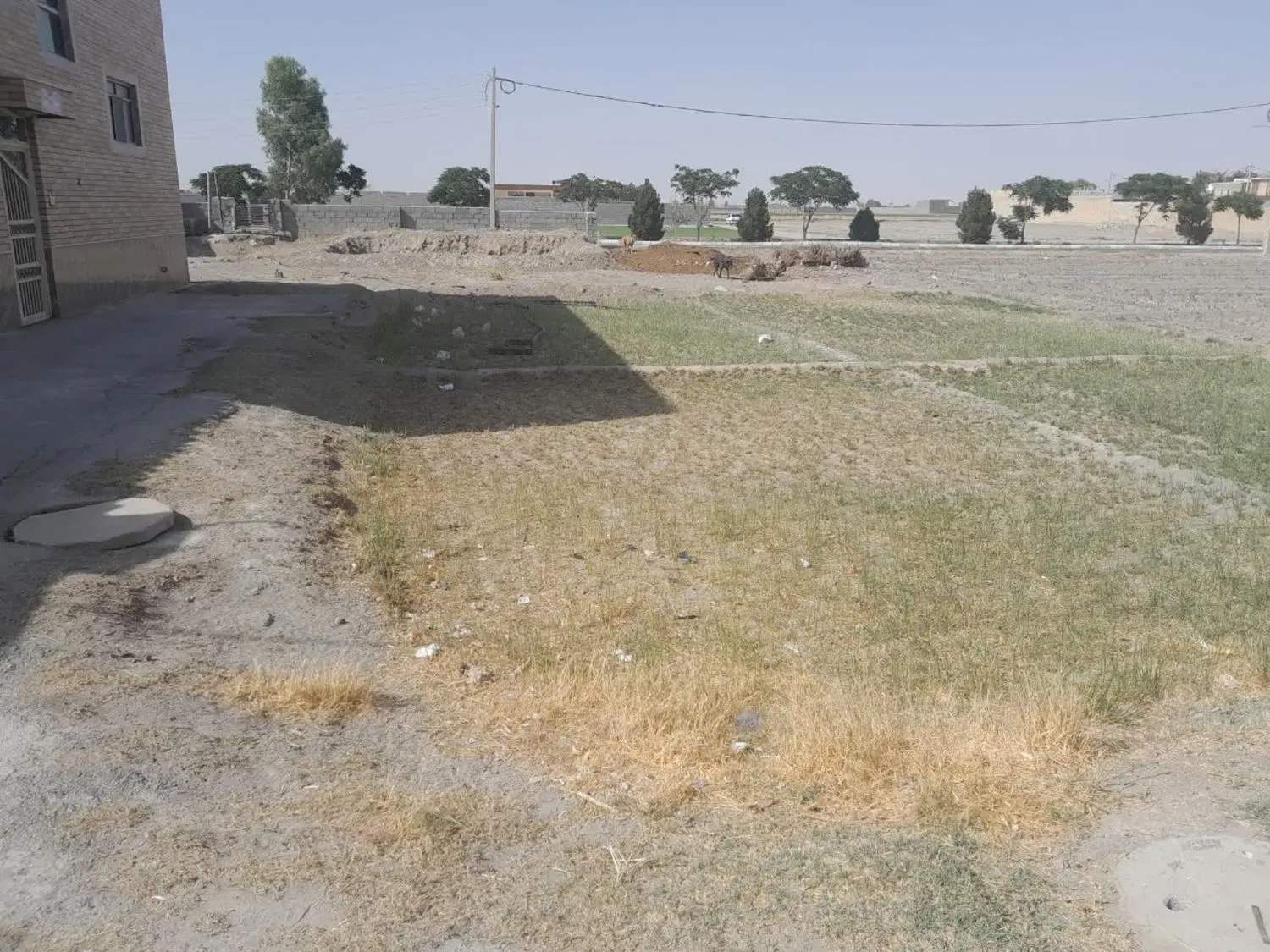 زمین مسکونی