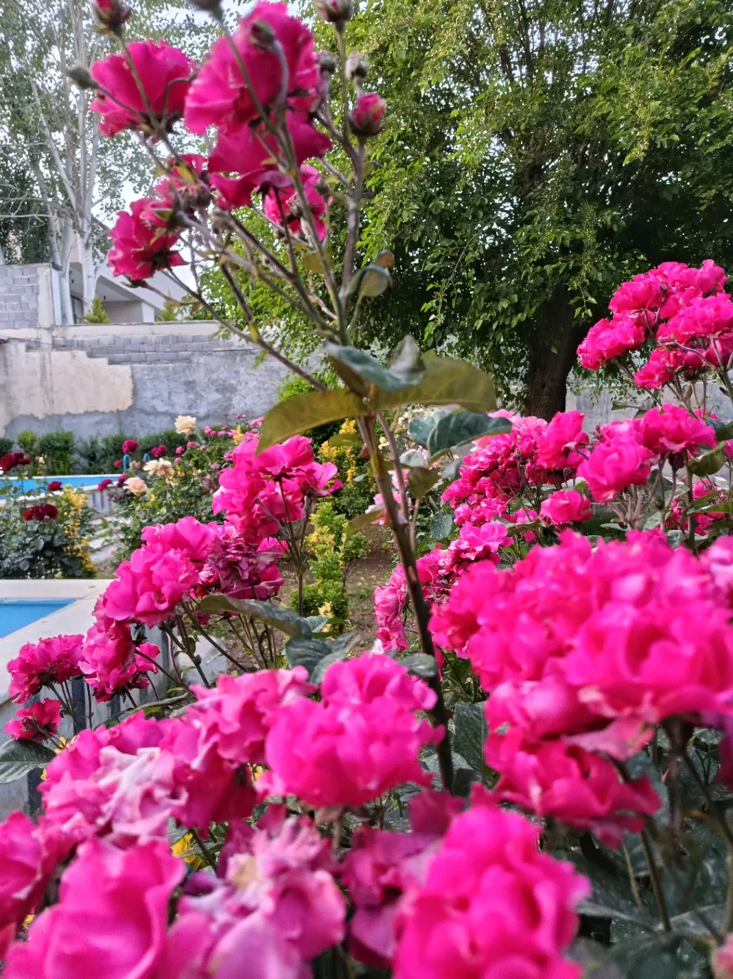 معاوضه زمین با آپارتمان