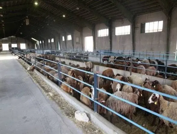 دامداری فروشی