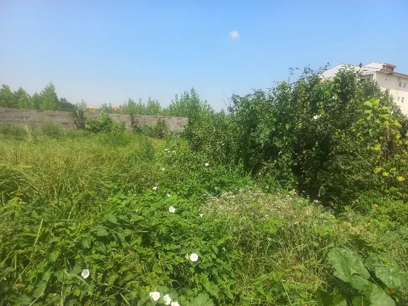 فروش یک قطعه زمین
