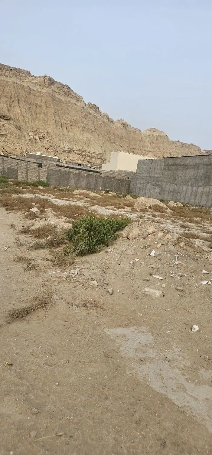 زمین مسکونی یا بچه سوله
