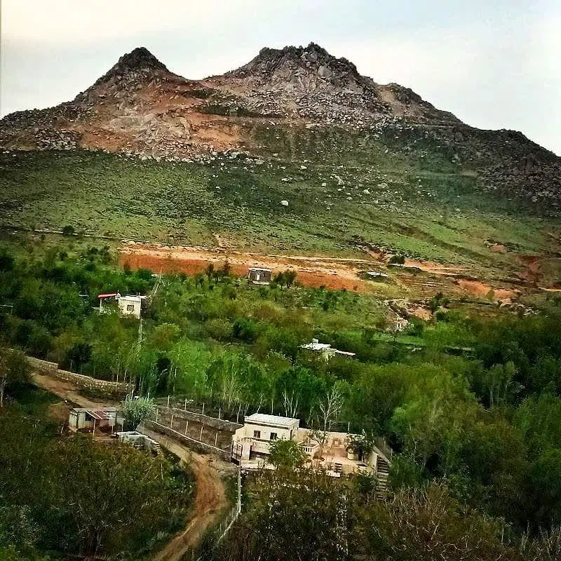 زمین باغی