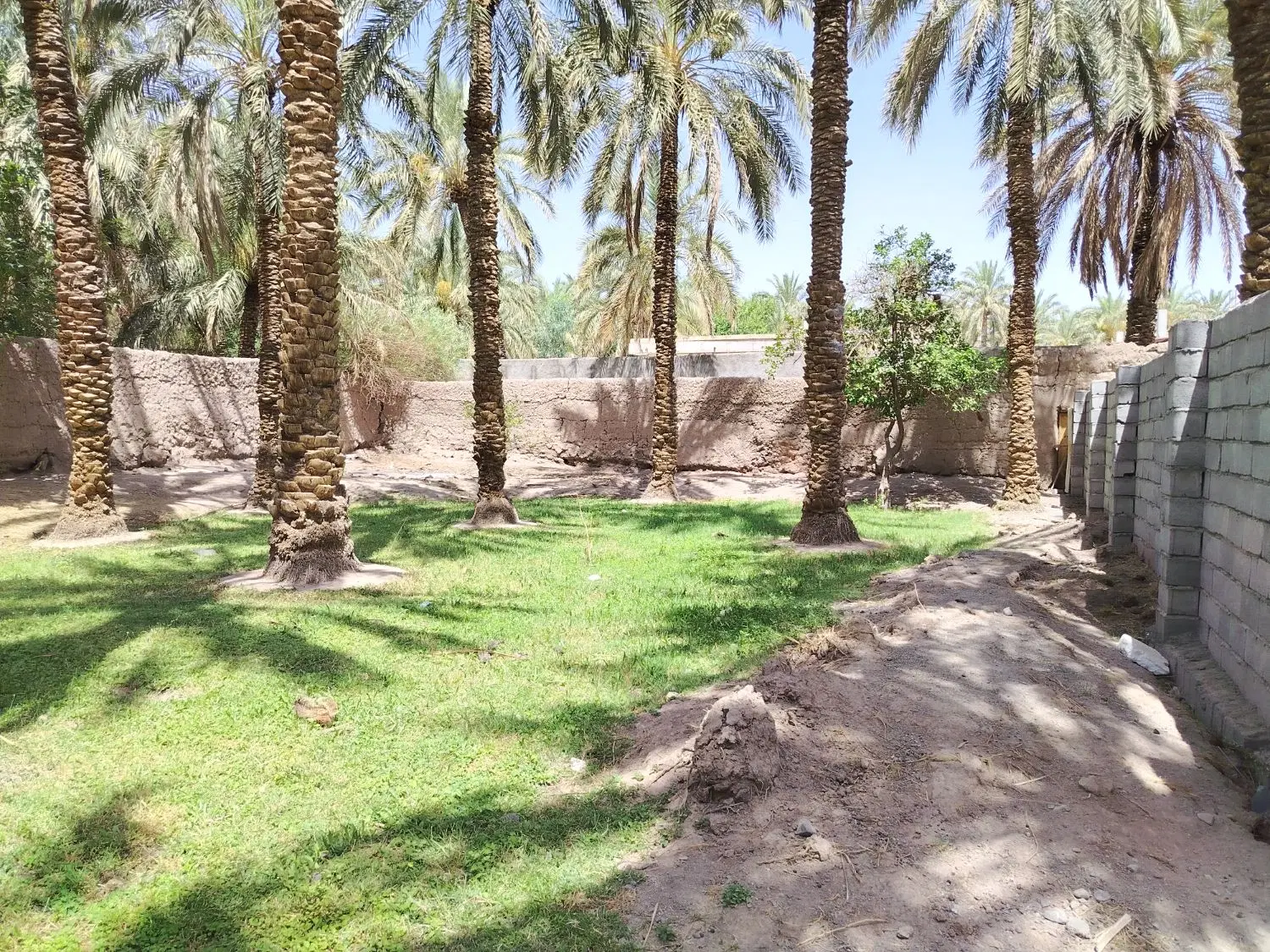 زمین مسکونی پروین اعتصامی